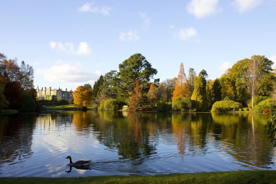 A beautiful landscape of Sheffield Park featuring a serene lake in the foreground, with a majestic castle visible in the background, surrounded by lush greenery and trees.