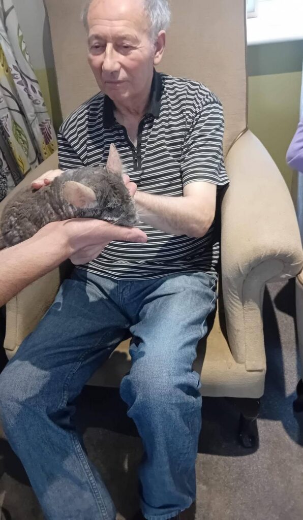 older man touching a chinchilla