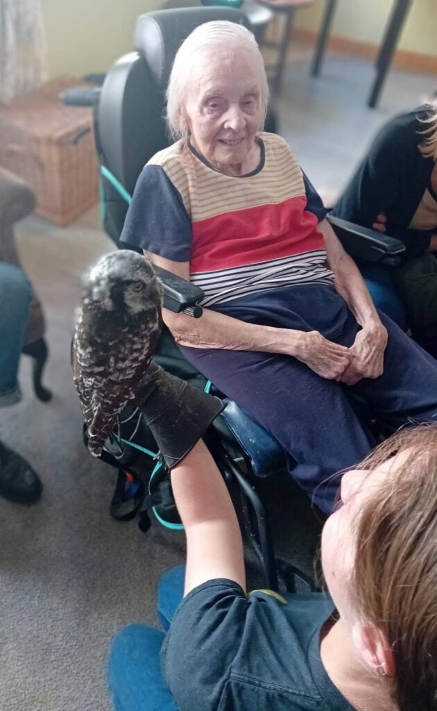 older lady in a wheelchair looking at an owl
